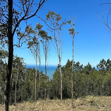 Casa Da Vela By Ferias Em Figueira בוארקוס