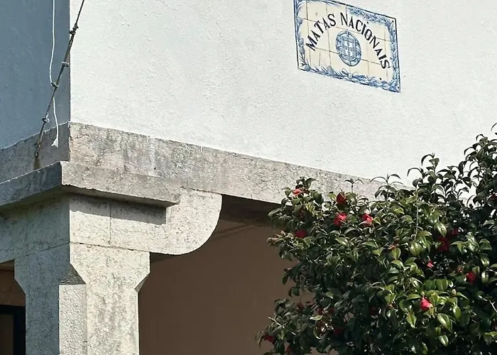 Casa Da Vela By Em Figueira Hébergement de vacances