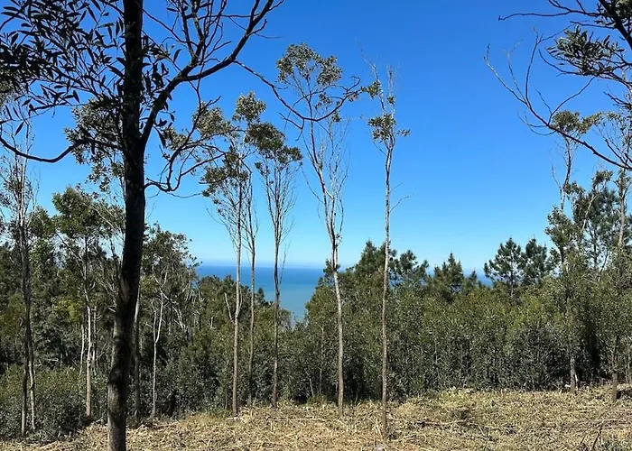 Casa Da Vela By Em Figueira Buarcos